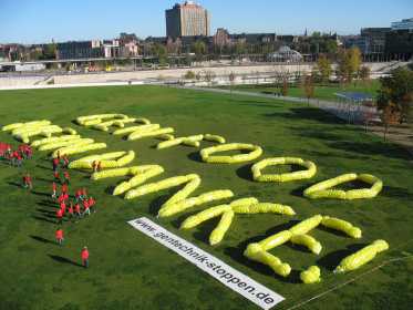 Bilder zur Ballon-Aktion